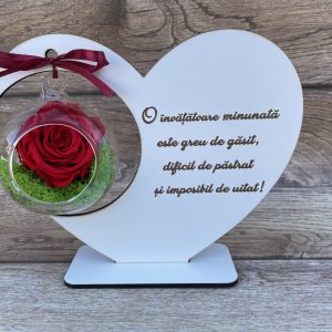 Inimă trandafir criogenat și mesaj învățătoare M1